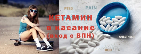 трава Няндома