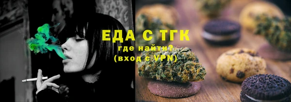 шишки Ельня