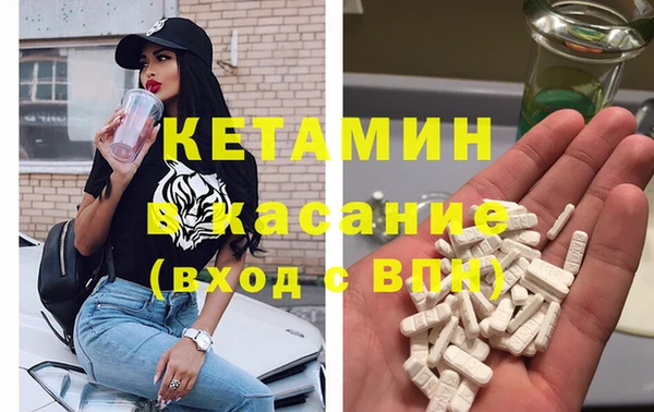 трава Няндома