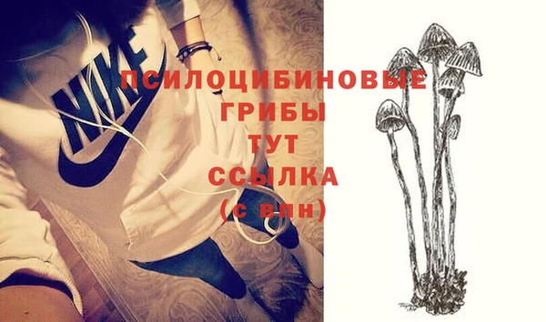 трава Няндома