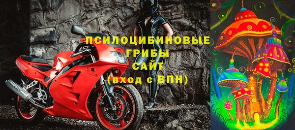 трава Няндома