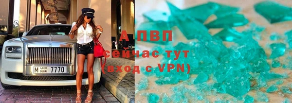трава Няндома