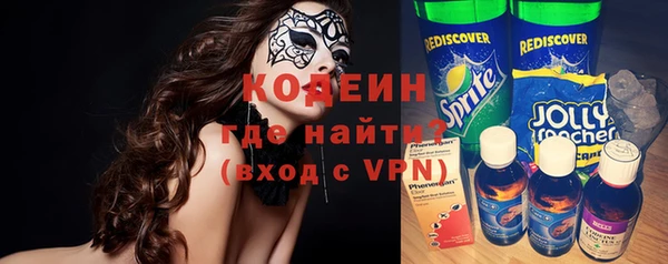 трава Няндома