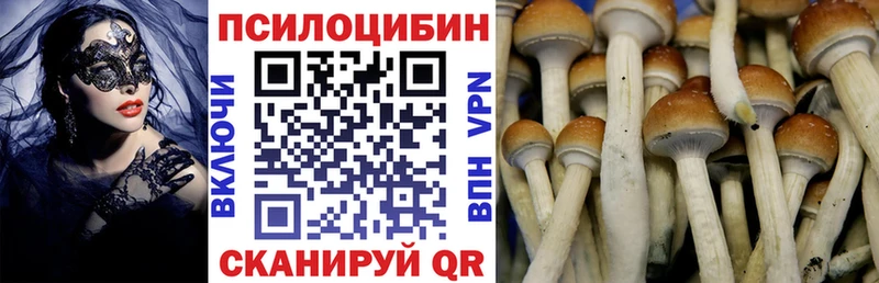MEGA рабочий сайт  Козьмодемьянск  Псилоцибиновые грибы MAGIC MUSHROOMS 