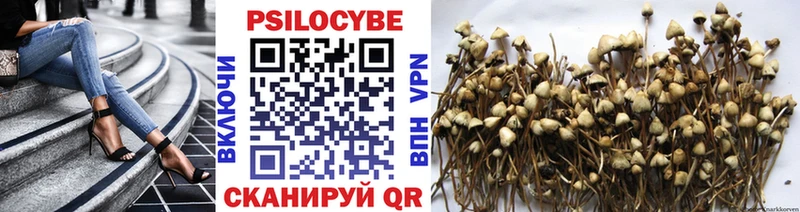 Псилоцибиновые грибы мухоморы Козьмодемьянск