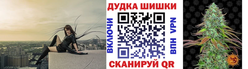 Бошки Шишки планчик Козьмодемьянск