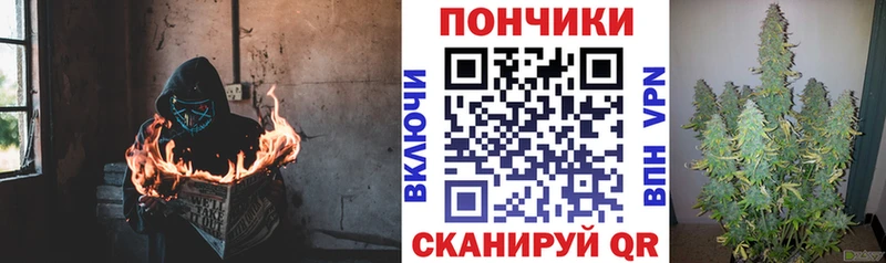 дарк нет телеграм  MEGA сайт  Козьмодемьянск  Бошки Шишки сатива 